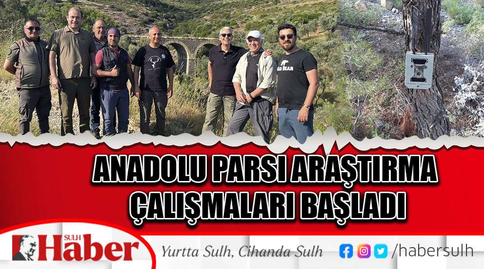 Anadolu Parsı Araştırma Çalışmaları Başladı
