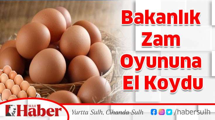 Bakanlık Zam Oyununa El Koydu