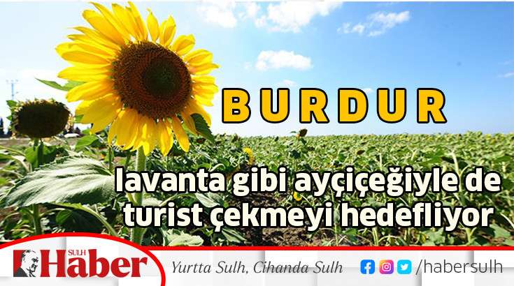 Burdur lavanta gibi ayçiçeğiyle de turist çekmesi hedefliyor