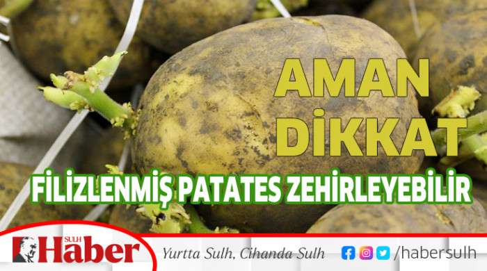 FİLİZLENMİŞ PATATES ZEHİRLEYEBİLİR